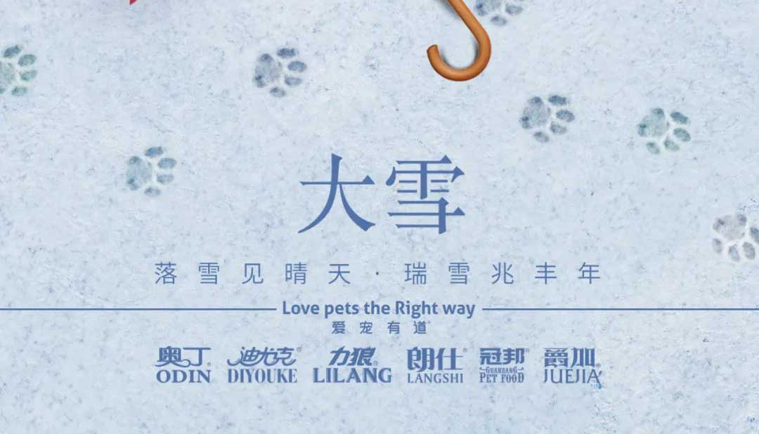 大雪丨雪落知寒意 久伴見初心！