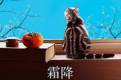 霜降丨縱然霜華盡染，心中美好如初